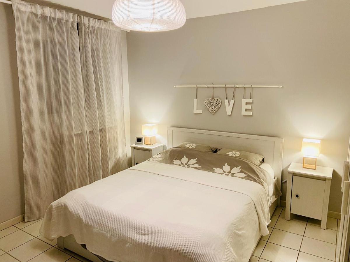 Sweet Home - 55M2 Appartment, Garden, Swimming Pool, Parking Toulouse Exterior photo
