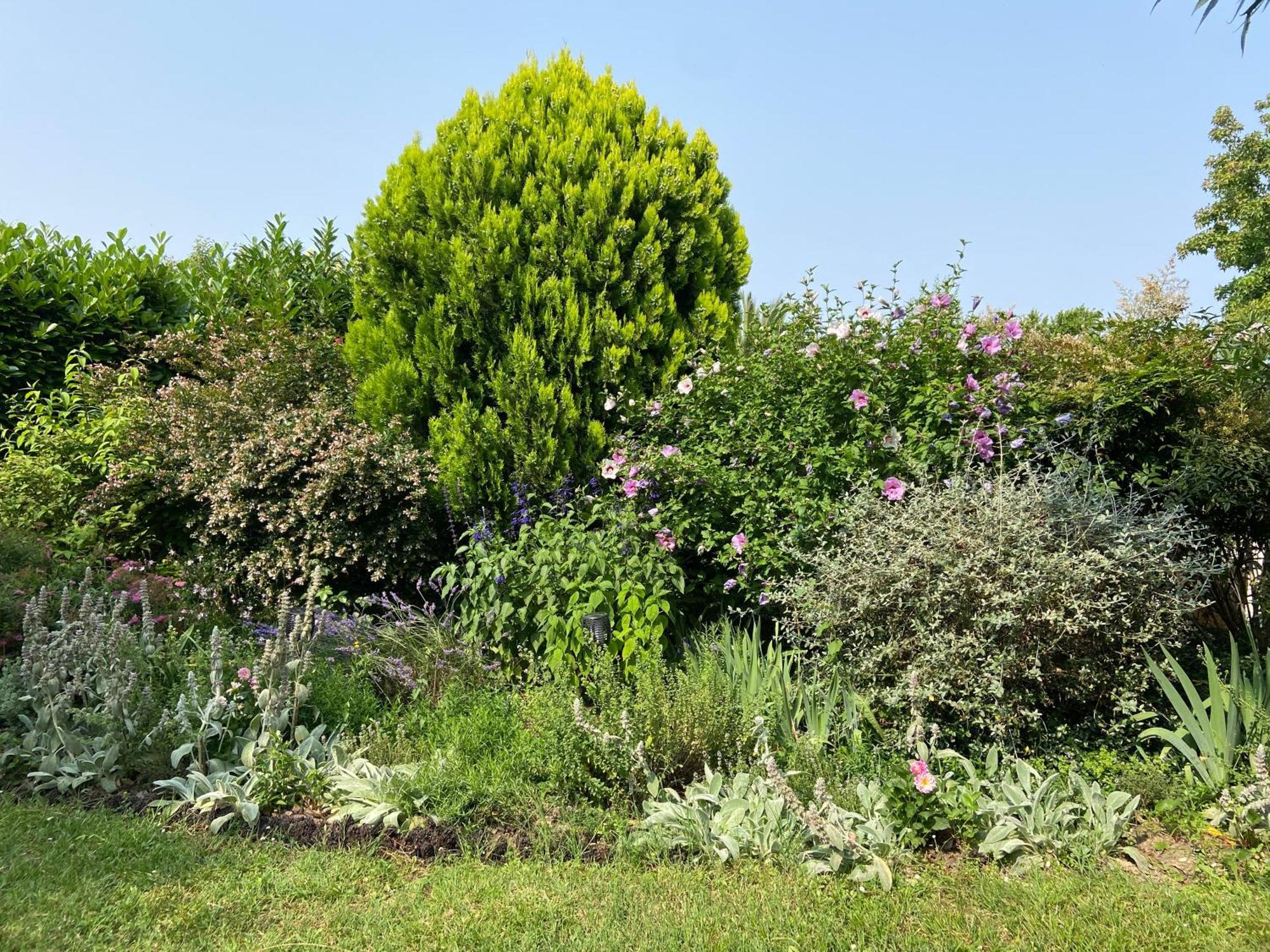 Sweet Home - 55M2 Appartment, Garden, Swimming Pool, Parking Toulouse Exterior photo